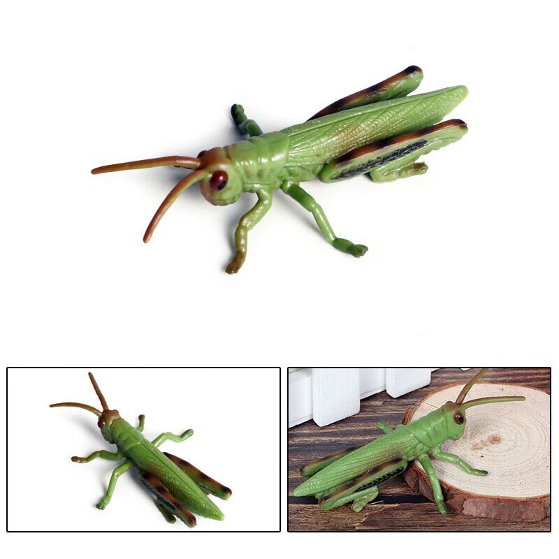 Simulated Insect Animal Figurine Model Spider Grasshopper Butterfly Snail Action Figure Scene Decoration Kids Collect Toys Gifts