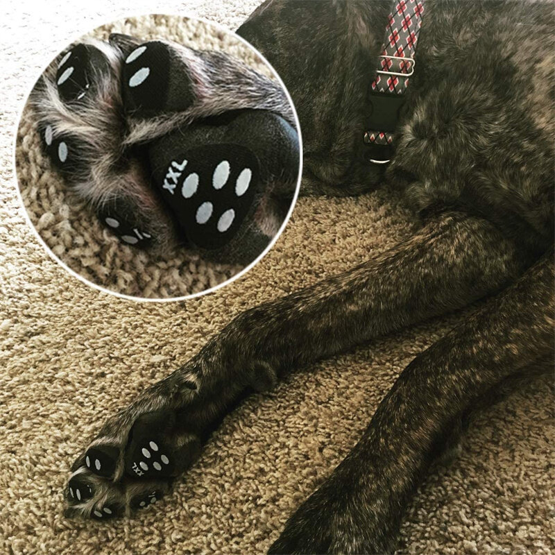 Hund Pfote Protector Anti-Slip Grip Pad Set Bietet Traktion und Klammer für Schwach Pfoten Assistent zu hält Hunde verrutschen