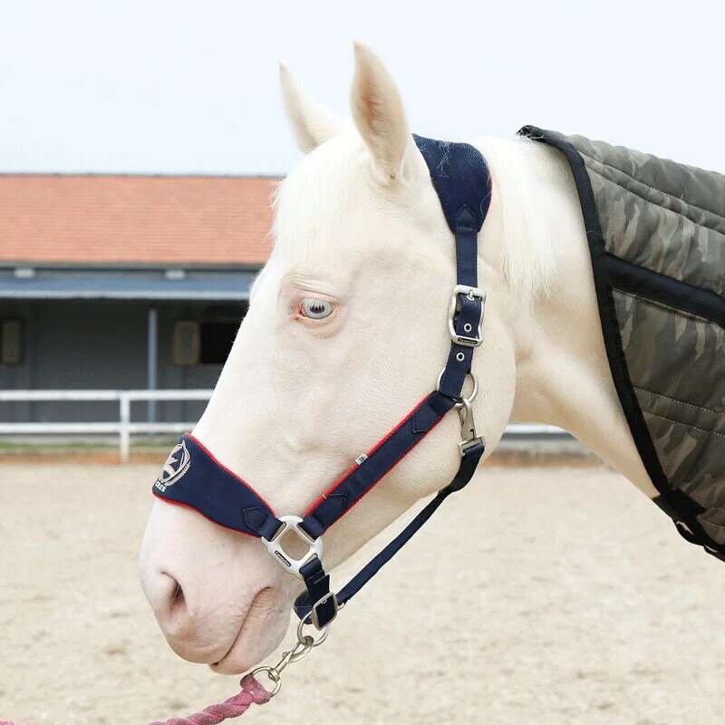 Cavassion Zaum Anti-tragen zaum Einstellbare Pferd Halter Hohe-qualität metall teile Reit Ausrüstung Ho