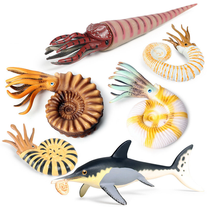 Modelo de vida marinha antiga brinquedos para crianças, peixes realistas, animais marinhos, Anautilus, figura de ação gola alta, novo presente quente