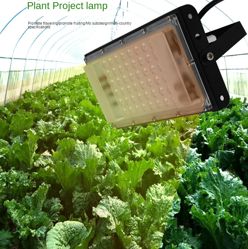 Светодиодный прожектор полного спектра для роста растений, освещение для выращивания овощей и фруктов