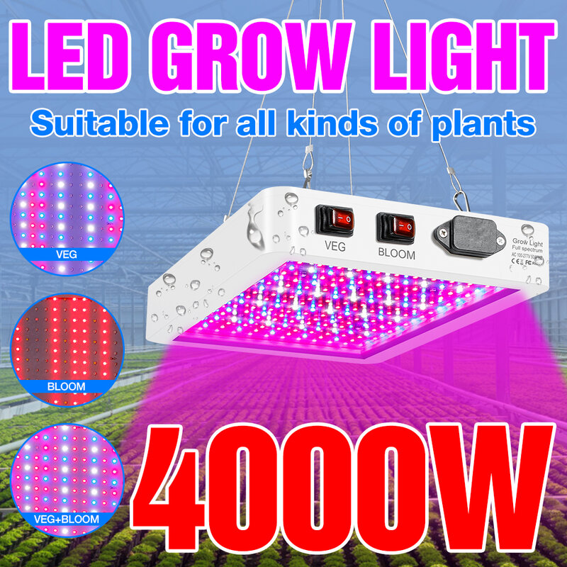 Iluminação interior Planta Lâmpada, Crescer Luz, Painel LED, Hidropônico LED, Lâmpada De Mudas De Flores, Estufa, 4000W, 5000W, 220V
