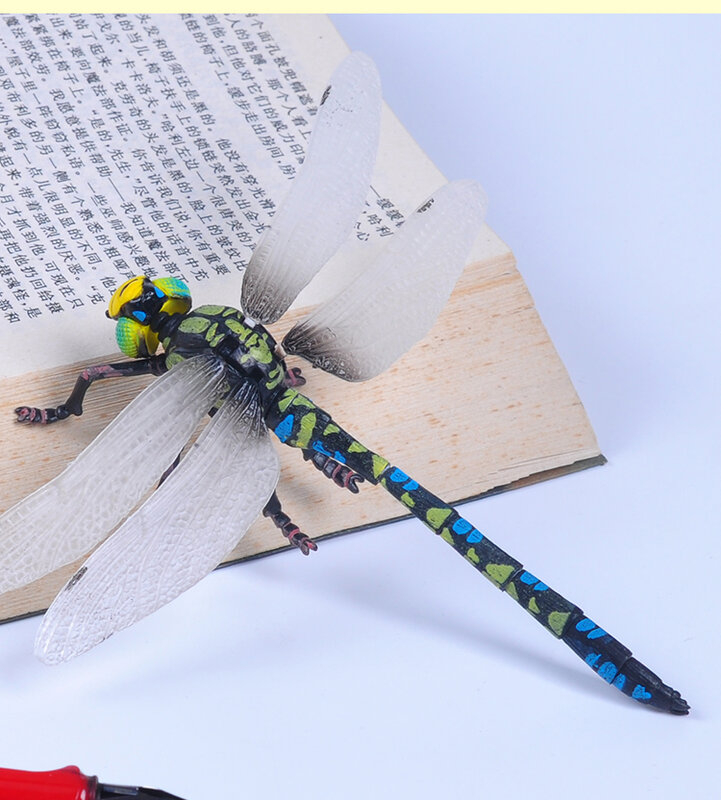 4D Stereo Perakitan Telur Dinosaurus Mainan Biologi Serangga Model Dragonfly Belalang Mantis Tawon PVC Aksi Angka