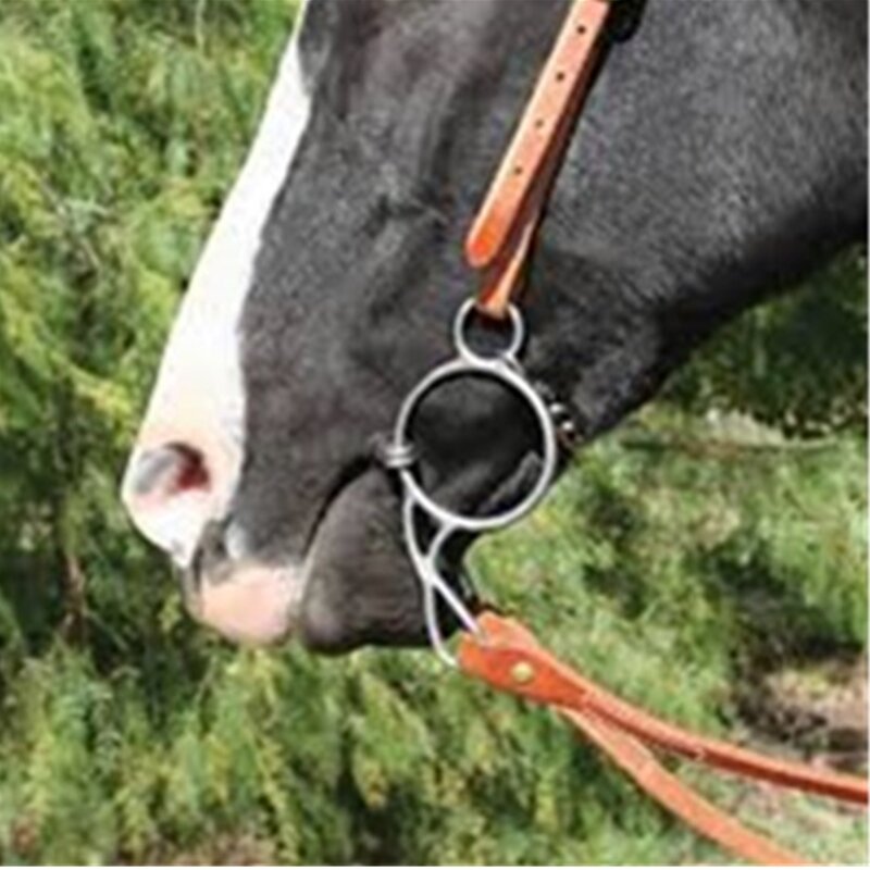 Mordaza de 12,5 cm, broca de caballo de acero inoxidable, boca articulada, equipo de caballo