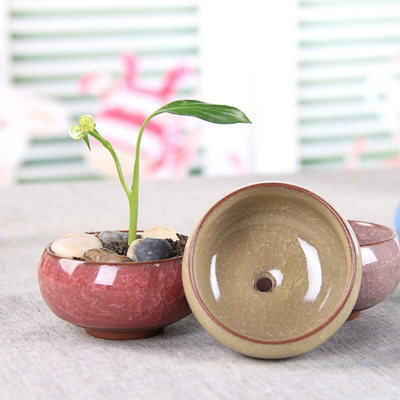 8 colori succulente vaso di fiori delicato pratico ceramica compatto Mini semplice pianta succulenta fioriera per artigianato domestico Dropshipping