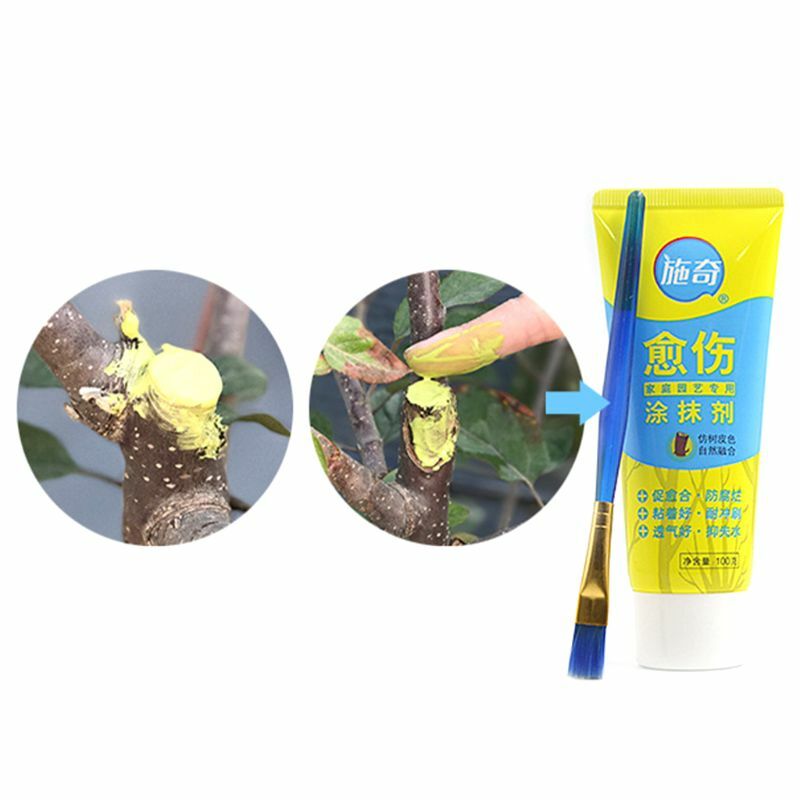100G Pohon Luka Bonsai Cut Paste Smear Agen Pemangkasan Senyawa Sealer dengan Sikat E7CB
