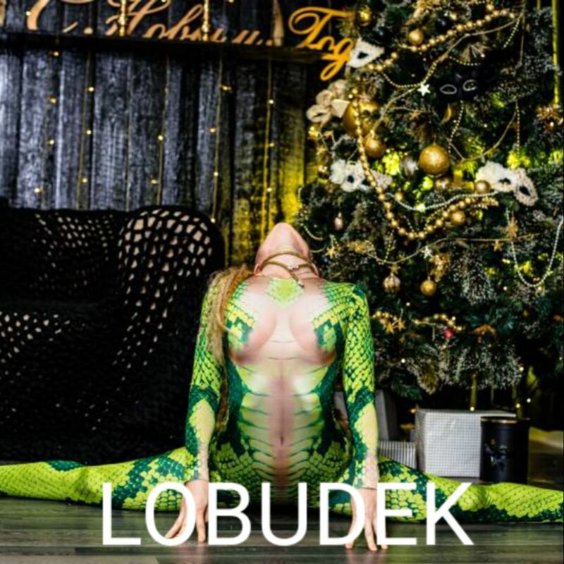 สีเขียวพิมพ์งูยืดหยุ่นสูง Leotard Jumpsuit ไนท์คลับบาร์ฮาโลวีน Cosplay เครื่องแต่งกายนักเต้นเวทีแสดง Bodysuit