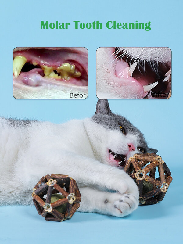 Catnip naturale Stick LingLong palla di poligoni Mutabilis denti per la pulizia del gatto bastone molare snack per gatti palla accessori per animali giocattolo per gatti