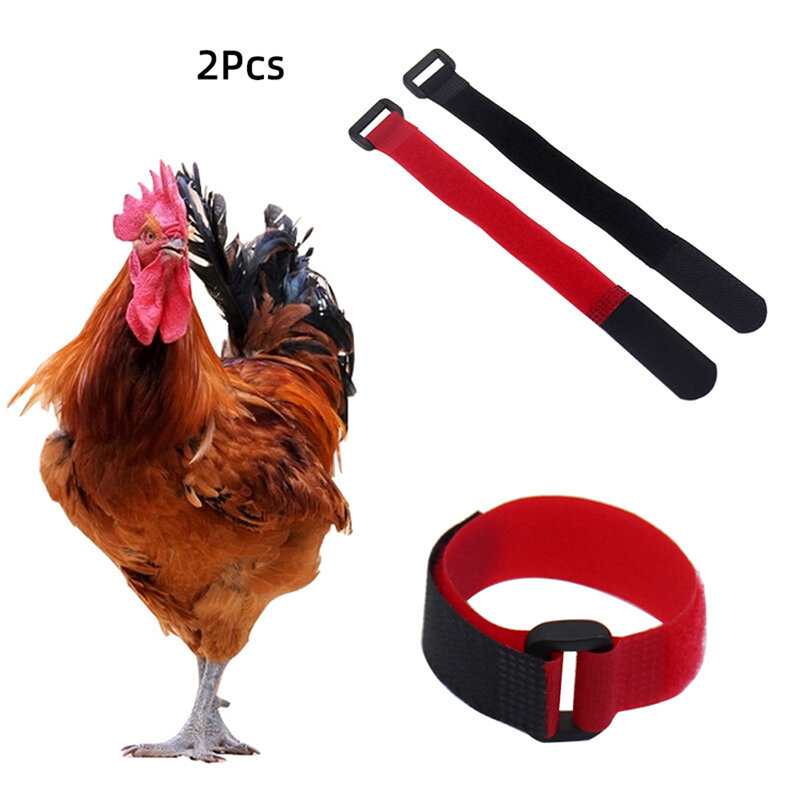 2PCS No Crow Rooster Collar Chicken Collar Noise Free Anti-Hook Neckband Collars Collar to Prevent Chickens from Crowing