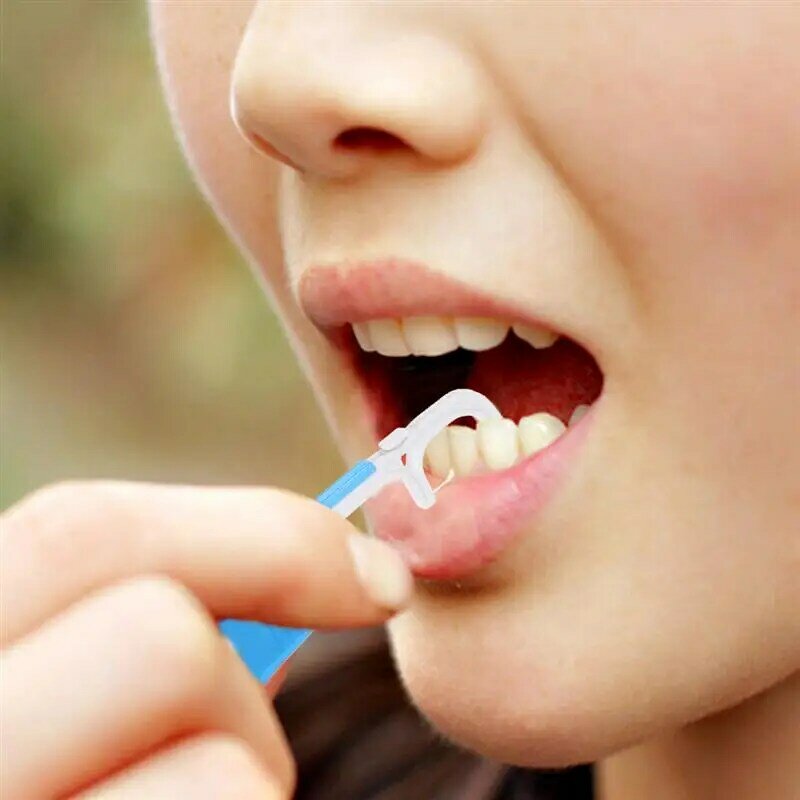 Suporte dental substituível do fio dental, fio dental, fio liso, escolha oral, cremalheira da substituição, 30 medidores, 1PC