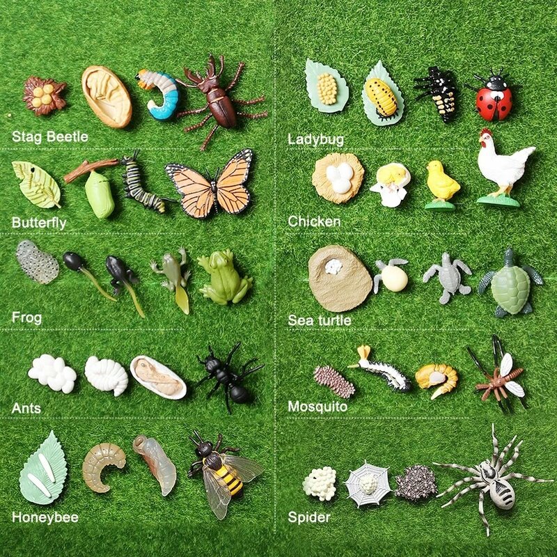 곤충 동물 나비 성장 사이클 플라스틱 모델, 액션 피규어, 라이프 사이클 피규어 시뮬레이션 동물 성장 사이클 모델
