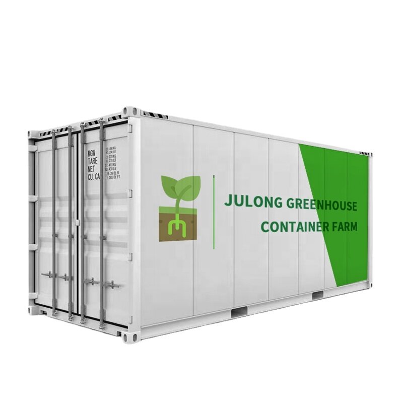 Smart Boerderij Groeien Hydrocultuur Verticale Landbouw Systeem 40ft Container Boerderij Kas
