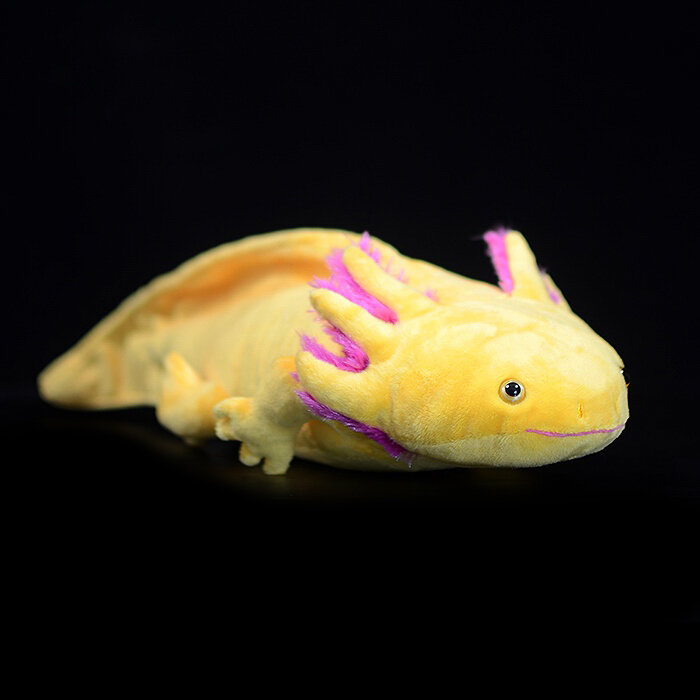 Jouet en peluche Axolotl pour enfants, simulation de la vie réelle, Ambystoma, Mexicanum, dinosaure, modèle animal, beurre en peluche, cadeau parallèle, mignon