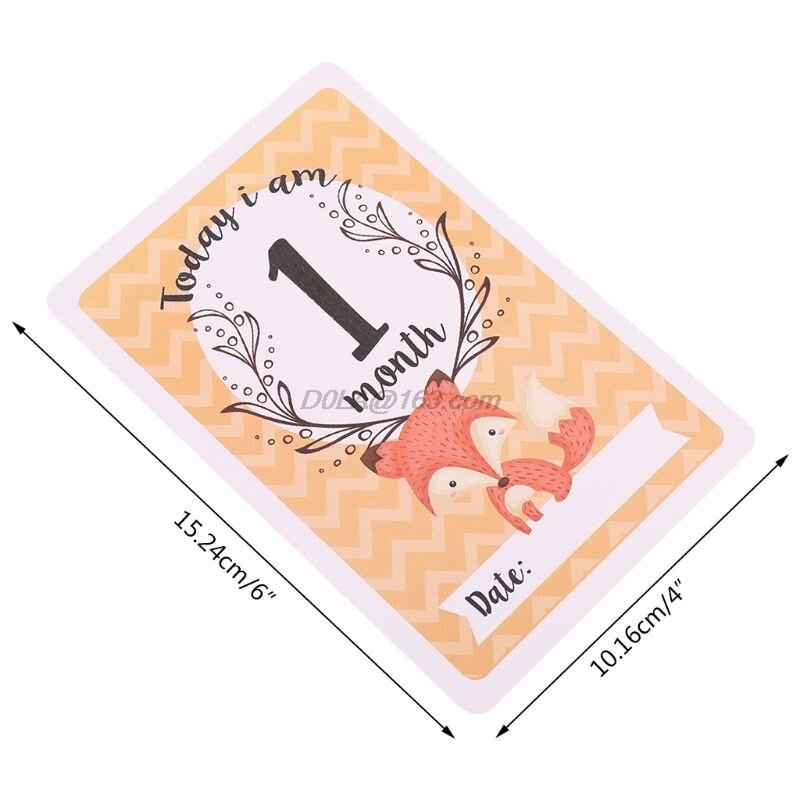 Cartões para bebês, conjunto de 12 folhas de janelas, para compartilhamento de fotos, para recém-nascidos