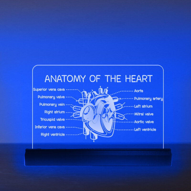 Схема сердца человека, 3D дизайн, сенсорное освещение, кардиолог, подарок, кардиологический индикатор, лампа, декор больничного отделения кардиологии