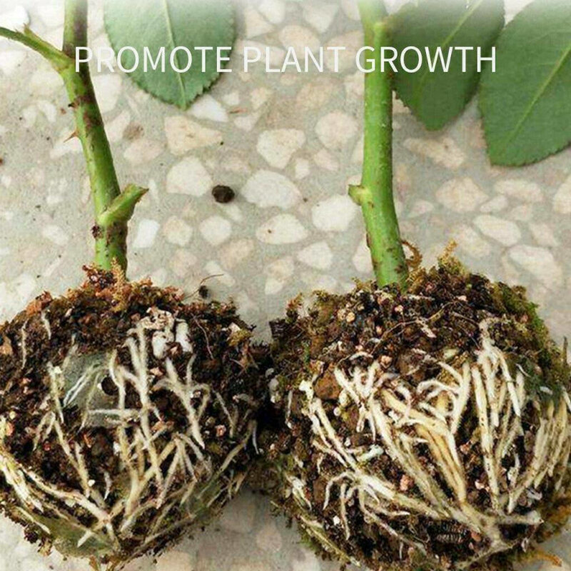 Устройство для ускорения роста растений, устройство для ускорения роста растений