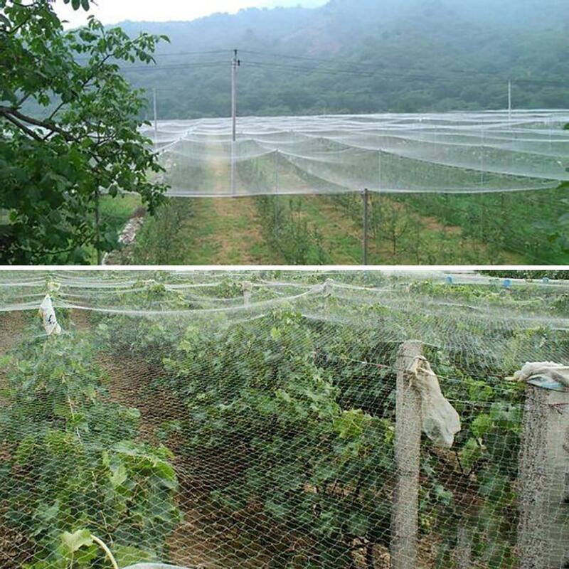 Red de Prevención de aves de antiaves, malla para cultivo de frutas, árbol para jardín de plantas, agujero de red de 1,5 cm, antiaves de nailon negro, 15x3m