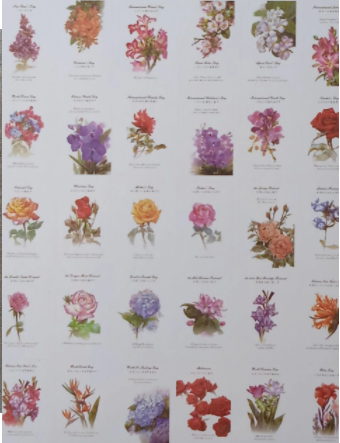 Cartão postal de papel do tempo da flor de 143mm x 93mm (1 pacote = 30 peças)