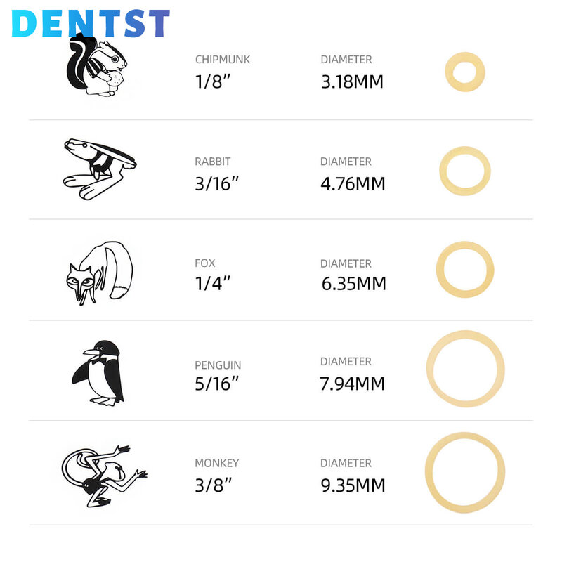 Cintas elásticas para ortodoncia Dental, banda de goma para cadena, anillo redondo, conejo, mono, ardilla, pingüino, zorro, para soportes, 100 unids/lote por bolsa
