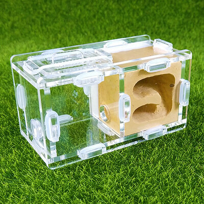 mini ants nest ant farm acrylic&gypsum for young queens and small colonies ants house ant home