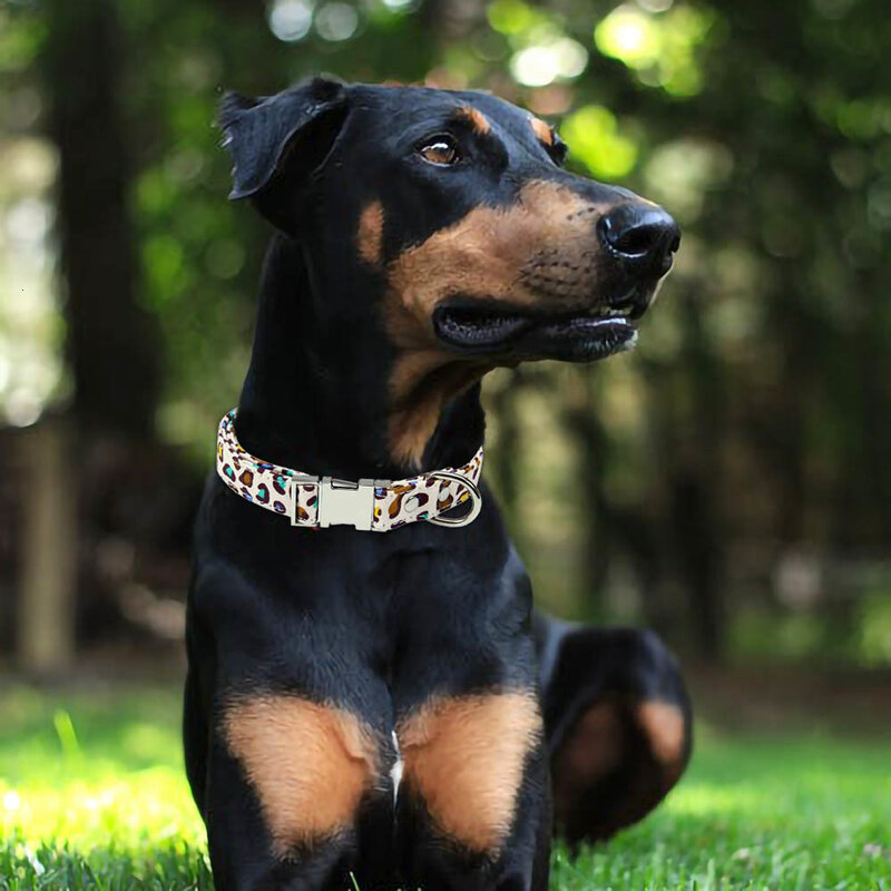 Yishanbangshui Verstelbare Halsband Quick Release Puppy Neck Strap Chihuahua Halsbanden Voor Kleine Middelgrote Hond Dierbenodigdheden S-XXL
