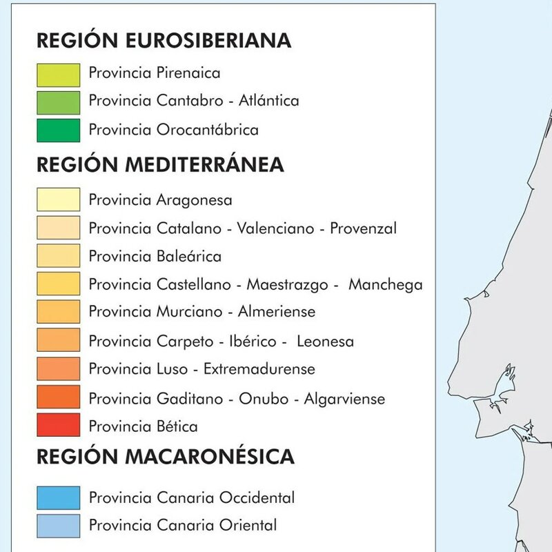 Mapa de distribución de la región de España, lienzo no tejido, pintura, Póster Artístico para pared, decoración del hogar, suministros escolares, 225x150cm