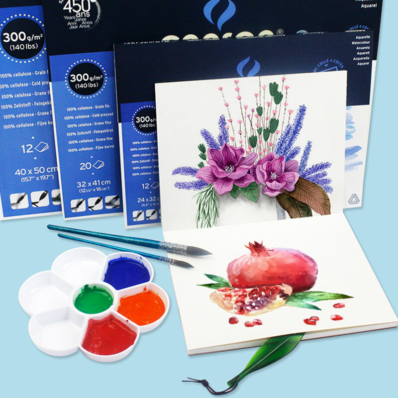 CANSON-دفتر ألوان مائية احترافي 185/300 جم/م 2 ، مستحضر فني للرسم بالألوان المائية
