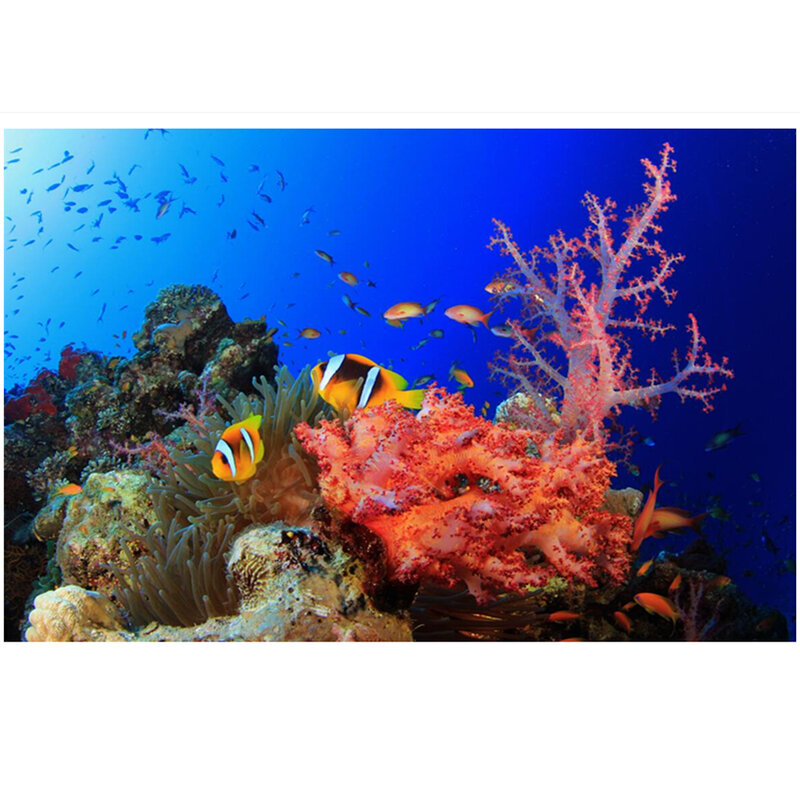 Colorful print Wall Tapestry underwater world tapestry M112
