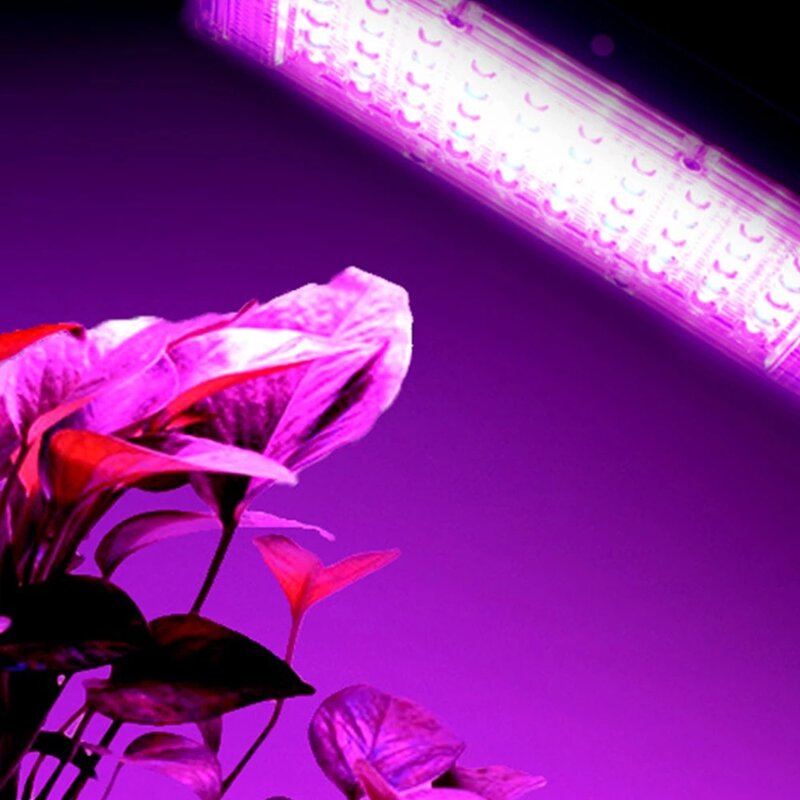 Luces LED de espectro completo para cultivo de plantas, lámparas Fitolampy Phyto para invernadero, 50W, AC220V