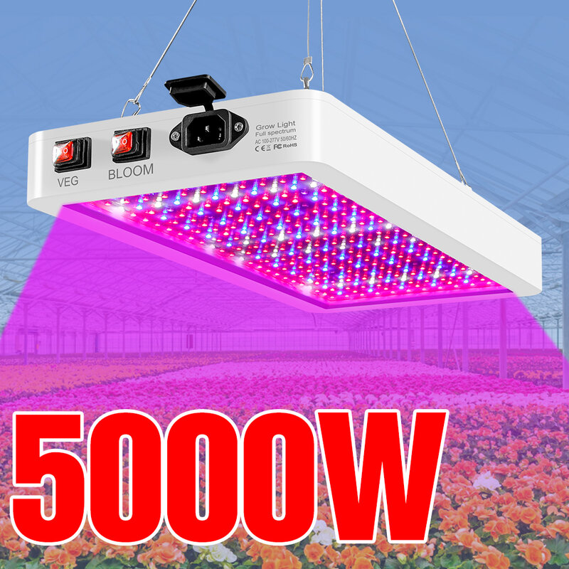 Lampe horticole de croissance LED, 5000W, 4000W, pour croissance de plantes, éclairage pour semis de fleurs