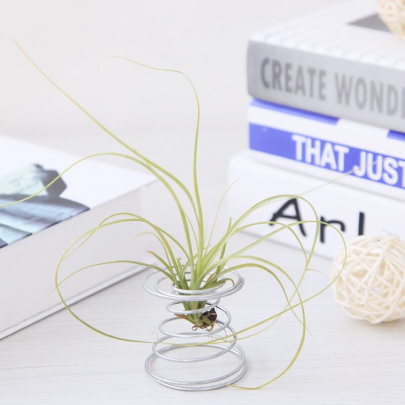 Baru Bergaya dan Sederhana Udara Tanaman Musim Semi Kawat Desktop Tillandsia Braket Miniatur Pot Bunga Dekorasi Berkebun