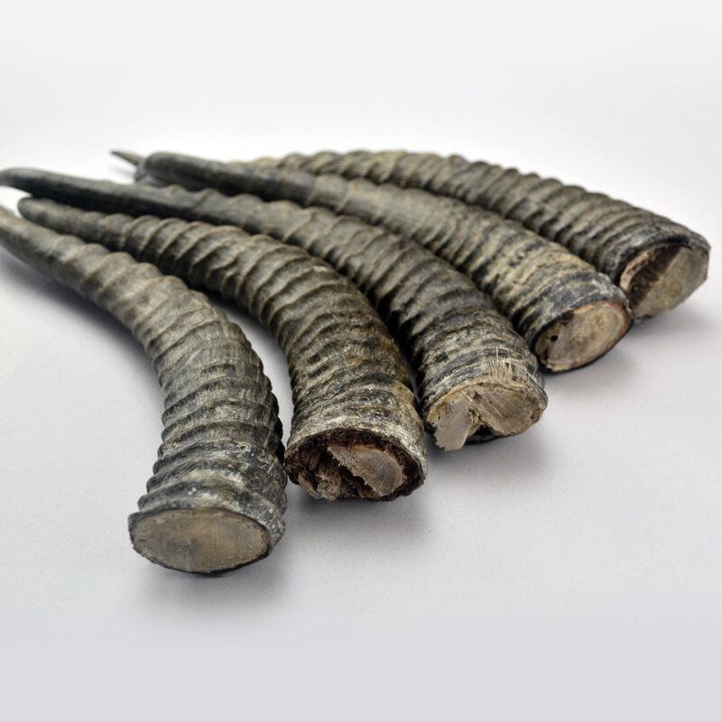 Натуральный рога антилопы Декор рога сделать нож ручка материал