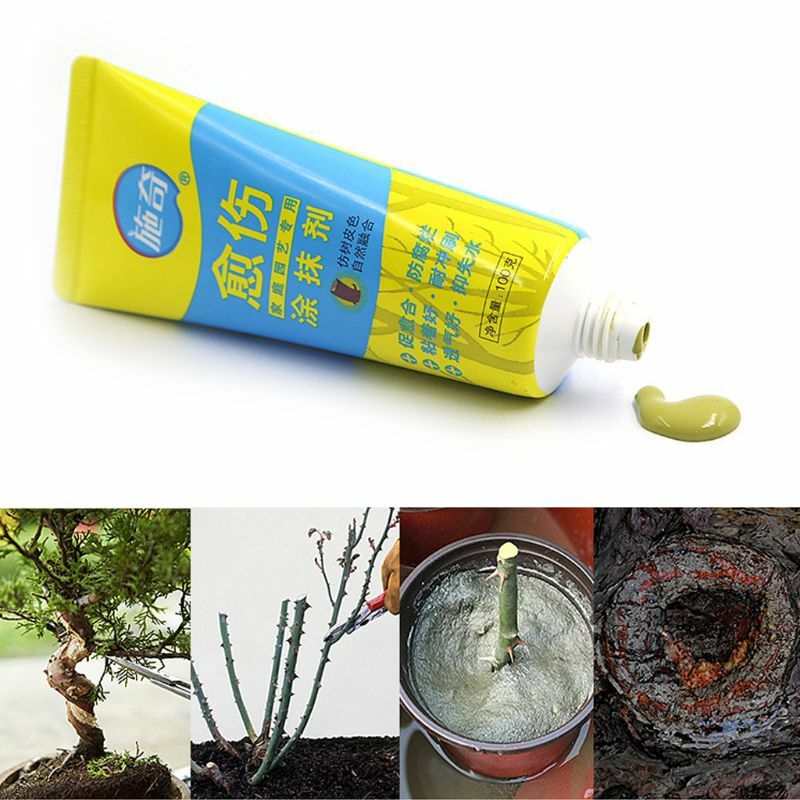 Composto de poda com escova para bonsai, 100g, ferida em árvore, agente smear, selador, e7cb
