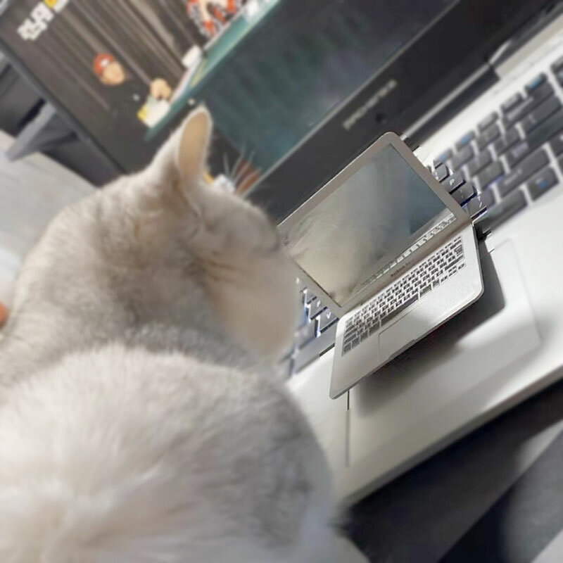 Mainan kucing lipat lucu mainan cermin pemodelan komputer Model Laptop anak anjing kucing alat peraga hewan peliharaan bermain interaktif perlengkapan hewan peliharaan