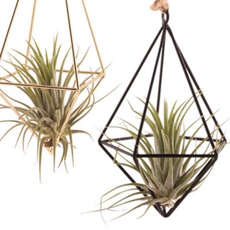 Small Air Plant Stand Metal Plant Stand Geometric Glass Terrarium Propagation Station with Iron Stand for Home Office Decor
