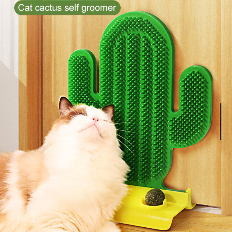 Samoobsługowy kot kaktus