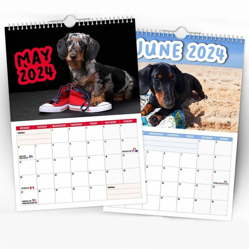 Kertas 2024 Cheeky Dachshunds kalender hadiah Tahun Baru hadiah gantung kalender dekorasi dinding waktu perencanaan kalender dinding