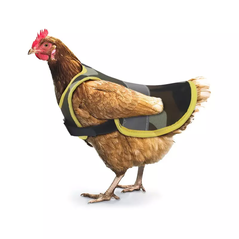 Forniture per animali vestiti di pollo gilet riflettente per animali domestici grembiule di pollo vestiti per animali domestici cuscino di protezione per piume di anatra di pollo