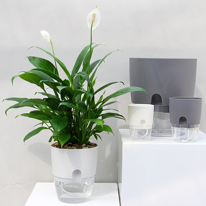 Transparente Double Layer Plastic Flower Pot, Self Watering Flowerpot, Corda de algodão, Plantador Rega com Porta de Injeção