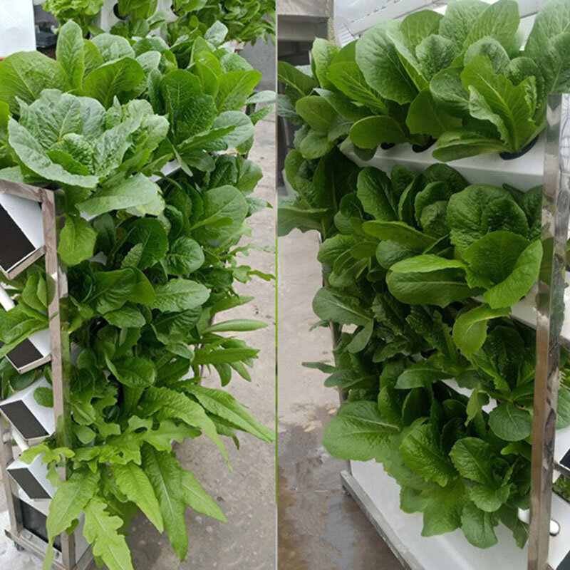 Sistema de cultivo hidropónico inteligente, máquina de plantación de verduras multicapa, invernadero, jardín, sistema hidropónico Vertical, granja familiar