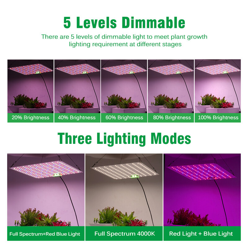 Samsung-Full Spectrum Phytolamp com Dimmable Timing, LED Grow Light, Plantas de Interior, Sementes Estufa Tenda, LM281B, 100-240V