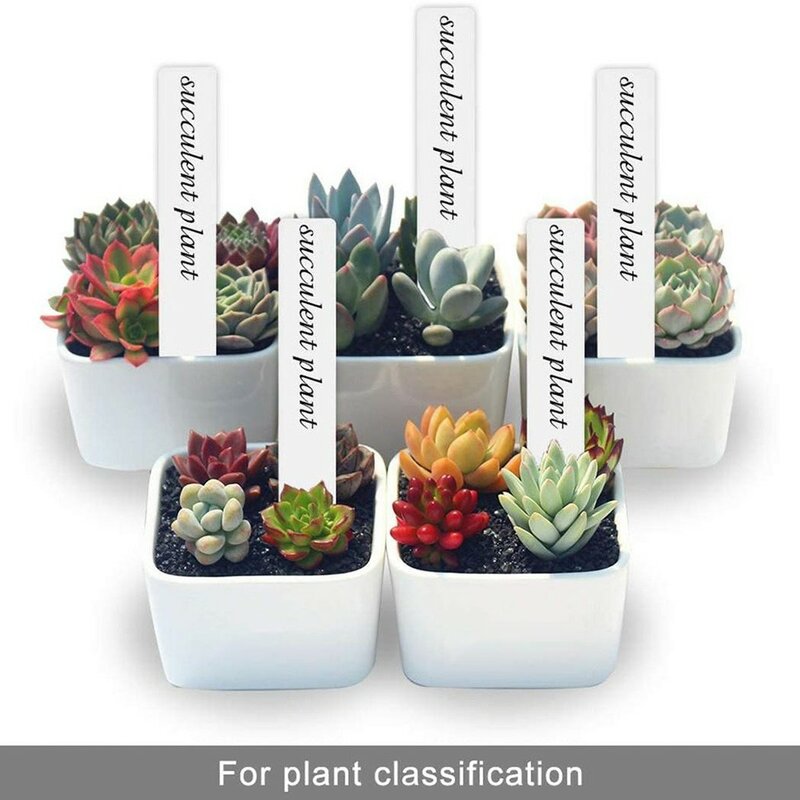 100pcs Garden Plant Labels Plant Accessory Flowers Pots Plastic Plant Tags Nursery Markers Label Tray Mark DIY Tool