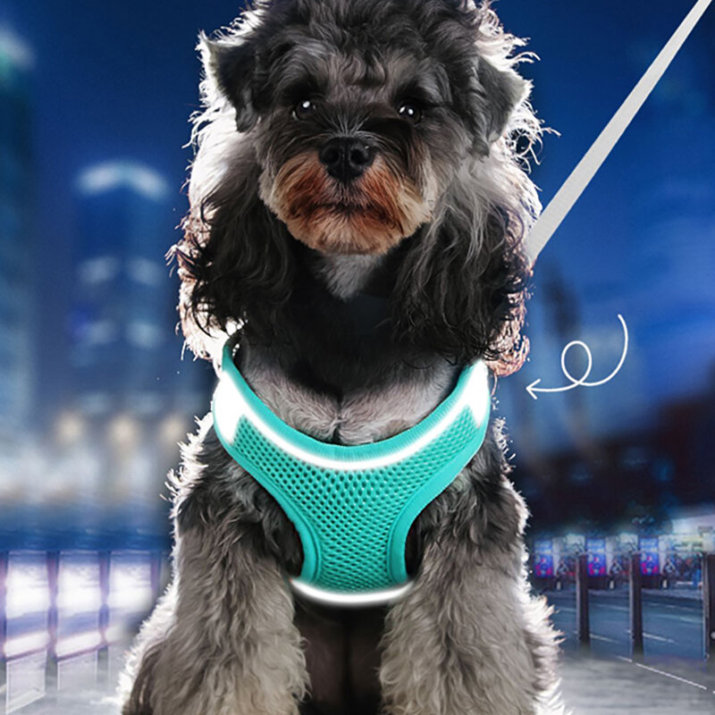 MADDEN Dog Cat Harness Vest Chest Rope Set pettorina riflettente traspirante regolabile per cani di piccola taglia passeggiate all'aperto