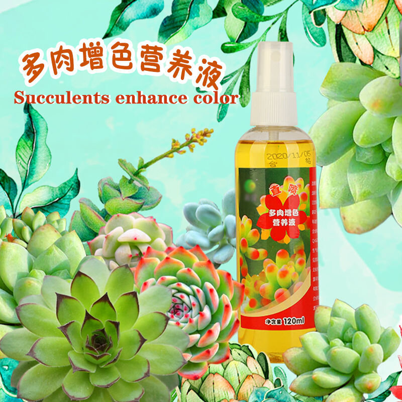 Special fertilizer for succulents to increase fertilizer and color, take root and burst buds, potted flower fertilizer