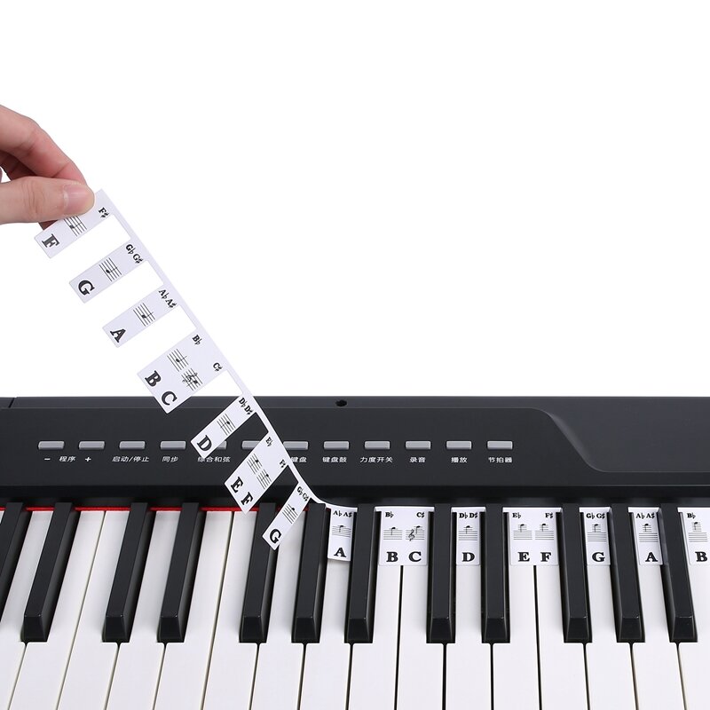 Pegatinas extraíbles para Teclado de Piano, tira de notas de notación Stave para estudiantes principiantes