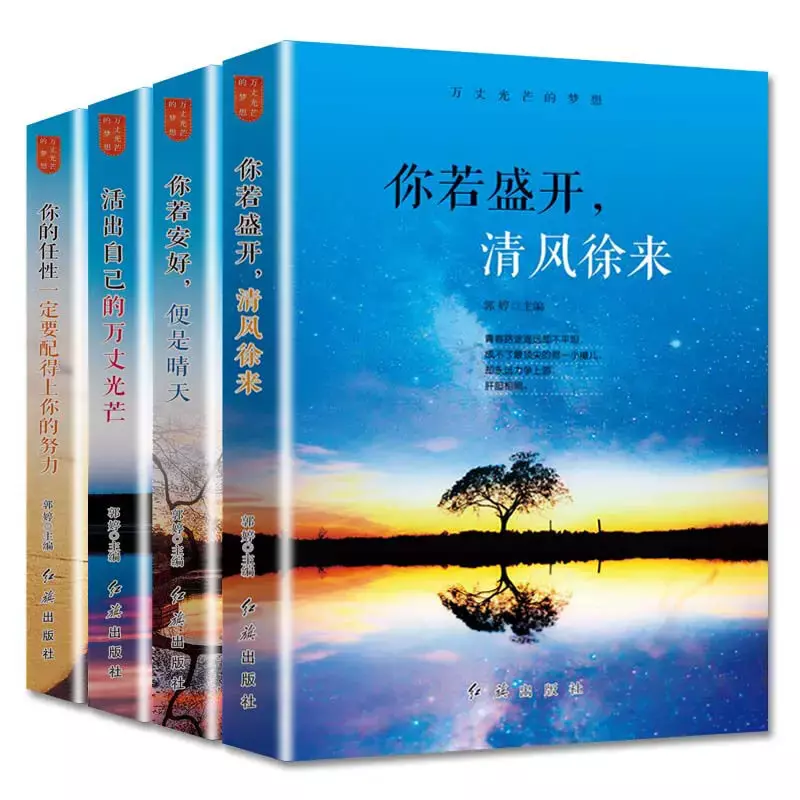 Juego de libros inspiradores chinos para adultos, libro de vida única, libros novedosos, puede aprender A escribir en chino, un total de 2 juegos, 4 unidades