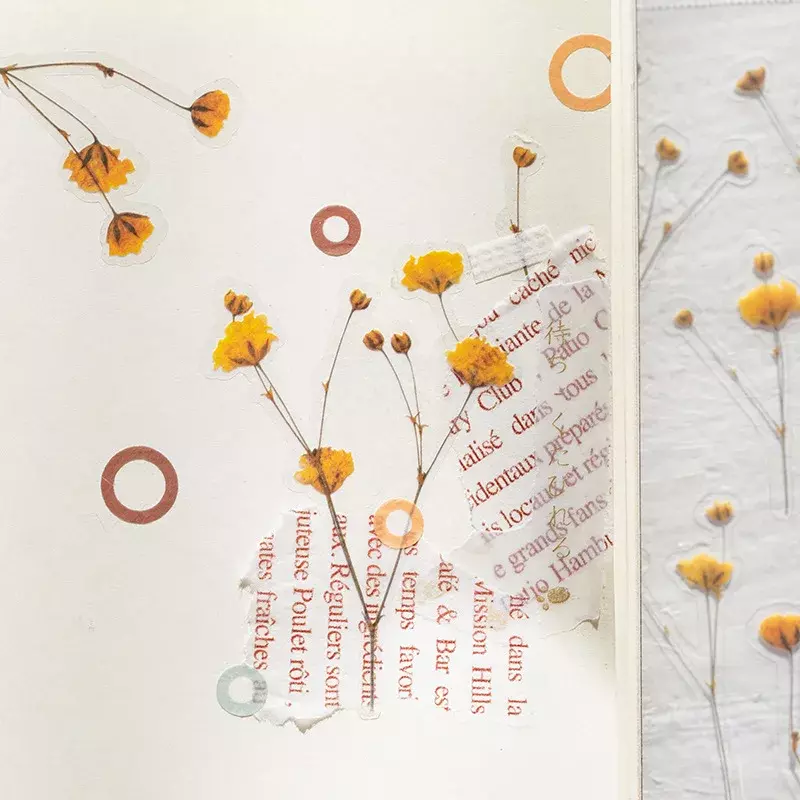 Daisy Natural Clover Palavras Japonesas Adesivos, Material PET Transparente, Flores Deixa Plantas Deco, 6 Projetos