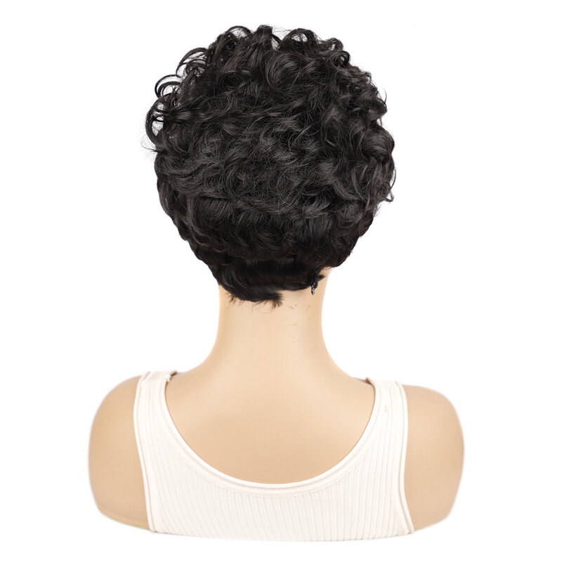 Short Curly Daily Wigs with Bangs Synthetic Wig for African Women Braided Wigs for Women Human Hair