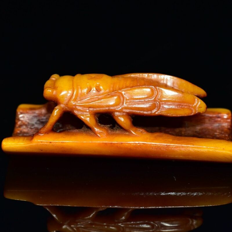 Hueso de yak antiguo, colgante de cicada dorada, tallado ahuecado, tallado de hueso, cigarras, increíble éxito