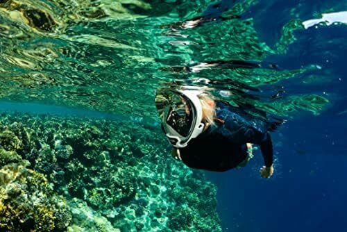 -Aria QR + maschera da Snorkeling a sgancio rapido-maschera da Snorkeling integrale-visione subacquea a 180 gradi-8 colori e 4 taglie Cat
